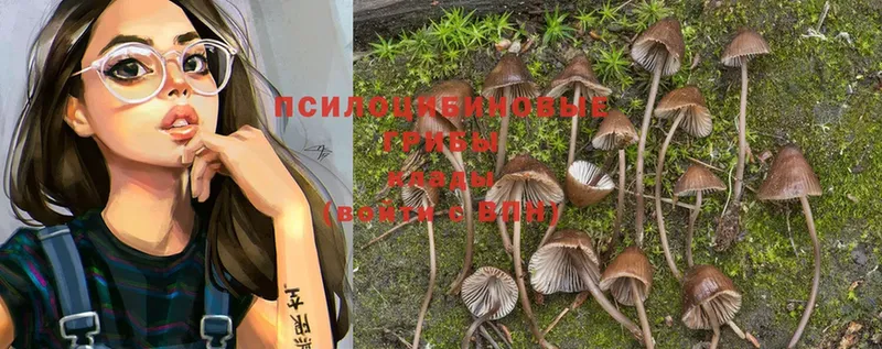 нарко площадка какой сайт  Балашиха  Галлюциногенные грибы Magic Shrooms 